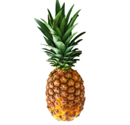 Ananas Extra