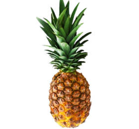 Ananas Extra