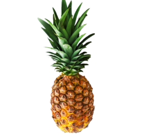 Ananas Extra