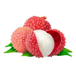 Litchi