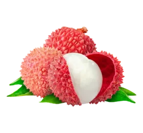 Litchi