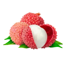 Litchi