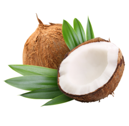 Noix de Coco