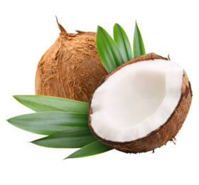 Noix de Coco