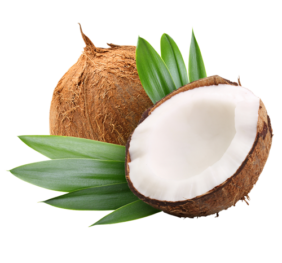 Noix de Coco